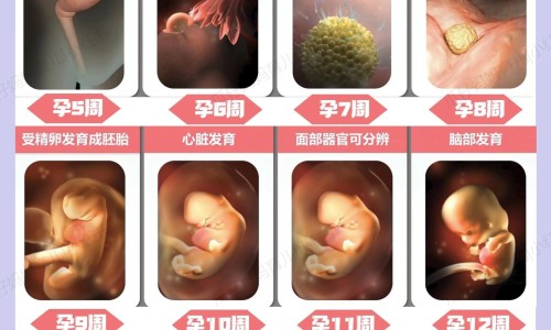 北京植发际线好不好网 - 网站提供北京植发机构小常识、北京植发机构前三名是谁
